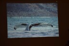 DSC_2678.JPG