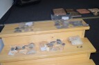 DSC_2696.JPG