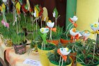IMG_9954.JPG
