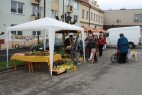 IMG_9957.JPG