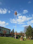 IMG_5510.jpg