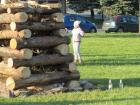 IMG_5540.jpg