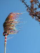 IMG_6989.jpg