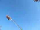IMG_6984.jpg