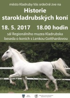 kladruby kone.jpg