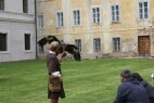 IMG_0152.JPG