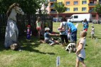 IMG_0196.JPG