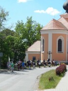 den koní 2017 022.JPG