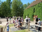 den koní 2017 047.JPG