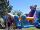 IMG_6398.JPG