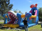 IMG_6412.JPG