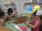 IMG_6443.JPG