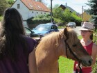 IMG_6469.JPG