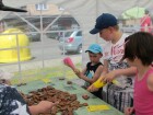 IMG_6480.JPG