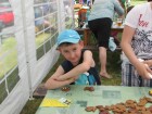 IMG_6481.JPG