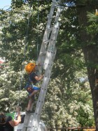 IMG_6520.JPG