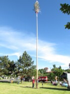 IMG_6638.JPG