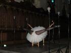 IMG_8325.jpg