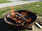 DSC04774.JPG