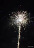 DSC_1872.jpg
