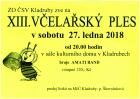 Včelařský ples.jpg