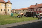 IMG_1336.JPG