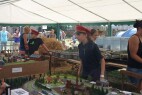 IMG_1700.JPG