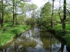 DSC01203.JPG