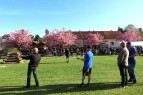 IMG_5706.JPG