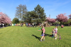 IMG_5675.JPG