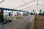 KladrubskaPout_2025-035.jpg