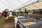 KladrubskaPout_2025-037.jpg