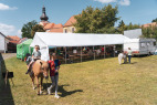 KladrubskaPout_2025-168.jpg