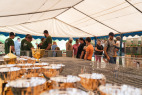 KladrubskaPout_2025-218.jpg