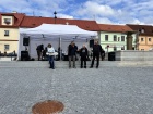 IMG_0003.jpeg