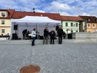 IMG_0006.jpeg