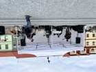 IMG_9994.jpeg