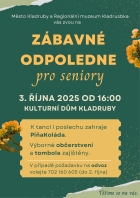 odpoledne pro seniory.jpg