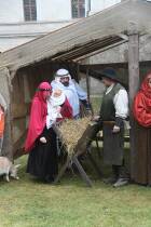 IMG_6317.jpg