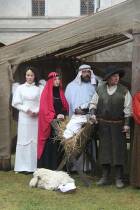 IMG_6344.jpg
