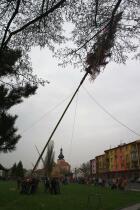 IMG_9520.jpg