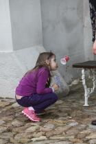IMG_8417.jpg