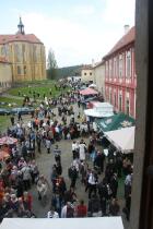 IMG_8449.jpg