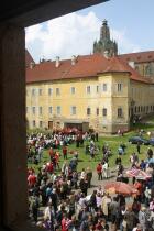 IMG_8451.jpg