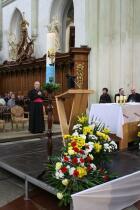 IMG_9849.jpg