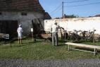 IMG_2939.jpg