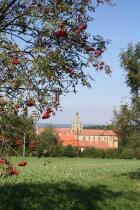 IMG_4182.jpg