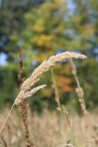 IMG_5732.jpg