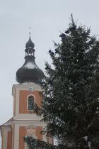 IMG_5532.jpg