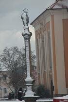 IMG_7061.jpg